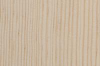 Holzart Kiefer für PaX Fenster und Haustüren