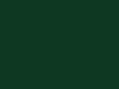 Tannengrün RAL 6009