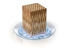 Holz mit Kapillarblocker