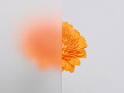 Ornamentglas Satinato