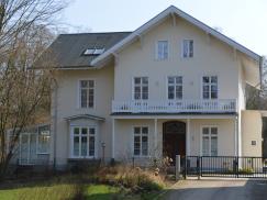 Einbau von PaXcontur68 aus Eukalyptus Globulus in Leverkusen