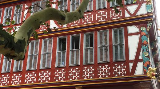 Rekonstruktion Kastenfenster und Türanlagen für die Goldene Waage in Frankfurt am Main