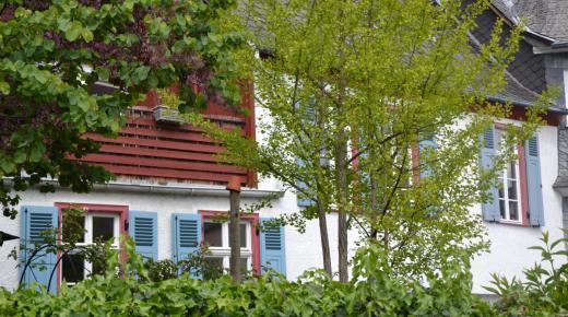 Denkmalschutzfenster PaXpur58 aus Eukalyptus in Oestrich-Winkel 