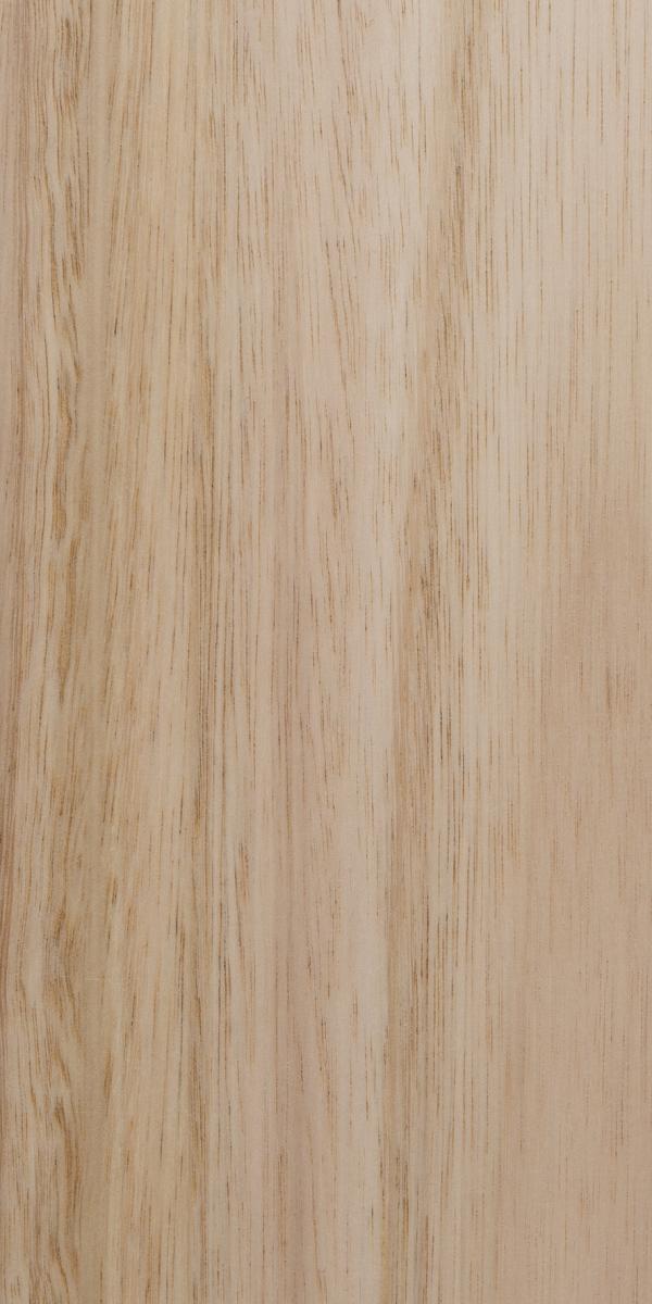 Transparente Lasur PaXnatura innen auf Eucalyptus globulus