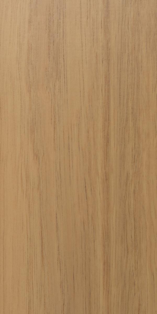 Transparente Lasur PaXnatura außen auf Eucalyptus globulus