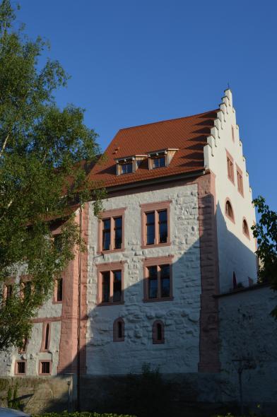 PaXretro58 Eukalyptus-Fenster für alte Bastion in Überlingen 