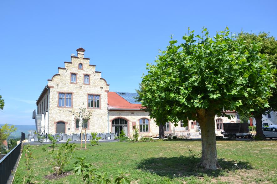 PaXcontur68 für historischen Winzerkeller in Ingelheim