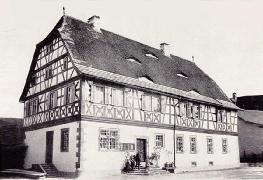 PaXpur58 Eukalyptus-Fenster für Rathaus in Bergrheinfeld historisch