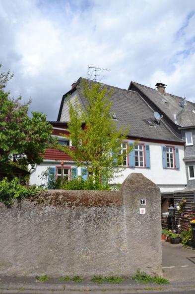 Denkmalschutzfenster PaXpur58 aus Eukalyptus in Oestrich-Winkel 