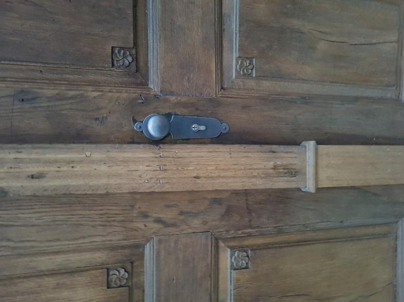 Haus- und Brettertür für Fachwerkhaus in Ulm Detailaufnahme